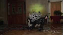 Another Latex Cat